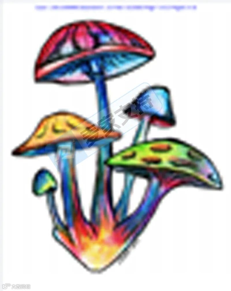 6-cv-00595，keith律所代理迷幻蘑菇跨境维权，88个跨境账户涉案将被TRO冻结！"