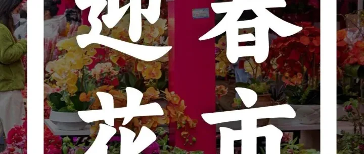 2026深圳爱国路花市摊位报名已正式开放！报名攻略→