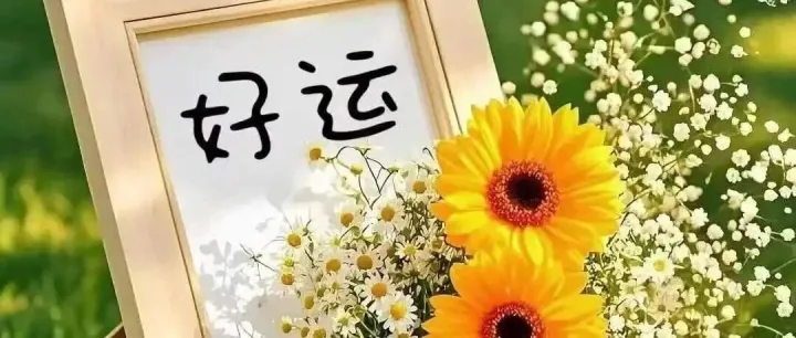 2026年1月12日  早报