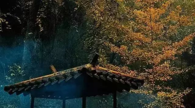 旷古稀世奇珍宝训!《菜根谭》精选30句- 大数跨境