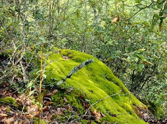 wechat_2025-09-08_143052_523