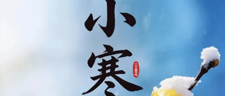 小寒 | 寒梅知春近，温酒话暖阳