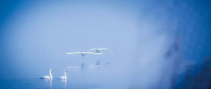 三門峽：大到暴雪，時(shí)間已定！局部達(dá)15厘米，最高氣溫0℃以下