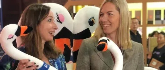 話題熱度超32億！冬天一定要來三門峽看天鵝