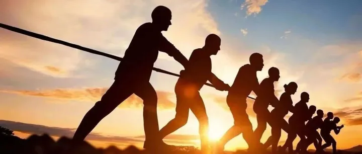 经销商生存战：告别铺货时代，靠专业升级活下来