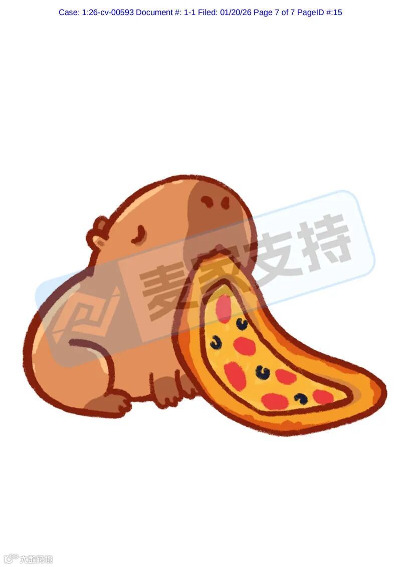 6-cv-00592，keith律所雷霆出击，卡皮巴拉两案并发，284店被列为侵权被告！"