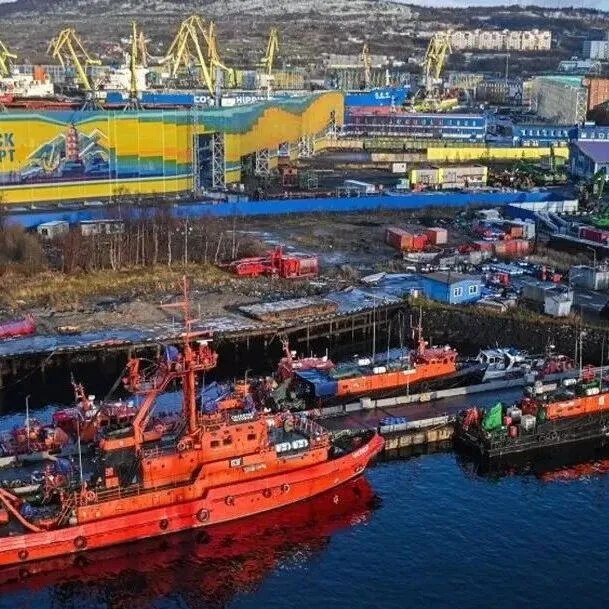 俄罗斯摩尔曼斯<em>克州</em>对华贸易额五年激增7.2倍