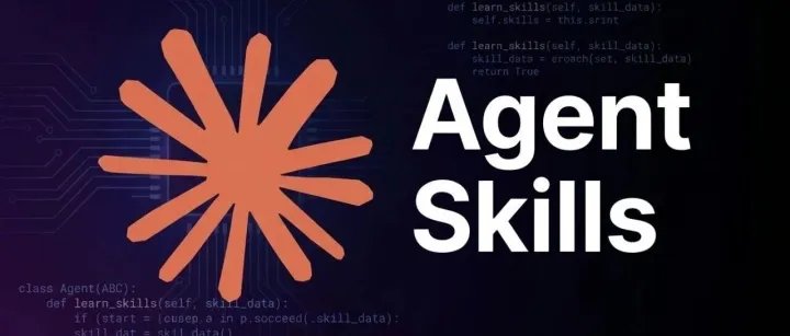從入門到用好 Agent Skills，看這一篇就足夠了