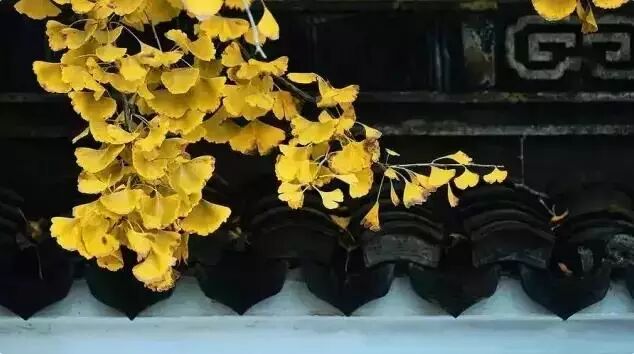旷古稀世奇珍宝训!《菜根谭》精选30句- 大数跨境
