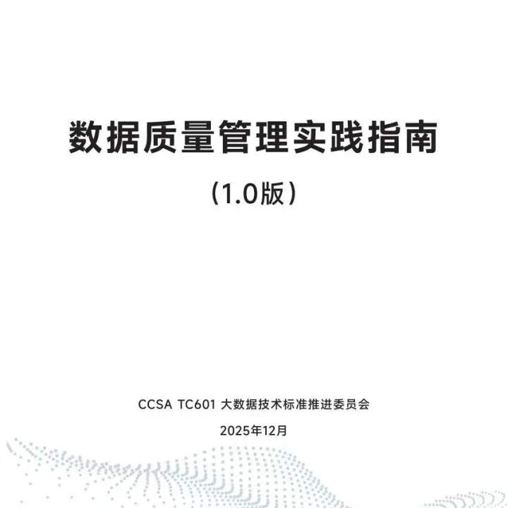 大数据技术推进委员会：2025数据质量管理实践指南1.0