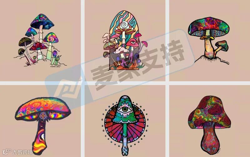 6-cv-00595，keith律所代理迷幻蘑菇跨境维权，88个跨境账户涉案将被TRO冻结！"