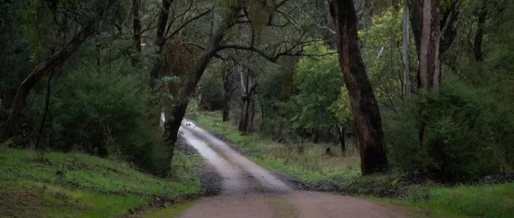 太糊涂！中国小伙偷渡缅甸没赚到钱还要被判刑