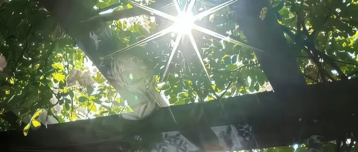 2026年1月19日  早报