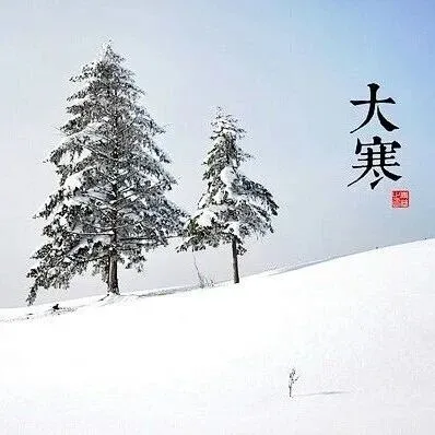 大寒 || 霜雪漫天，岁稔年丰