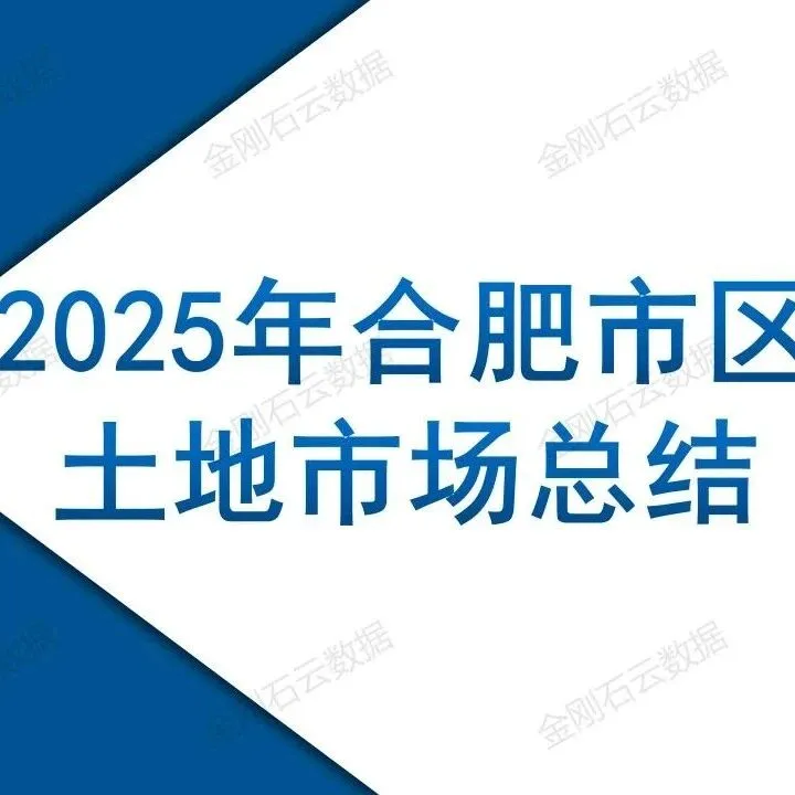 2025年合肥市区土地市场总结