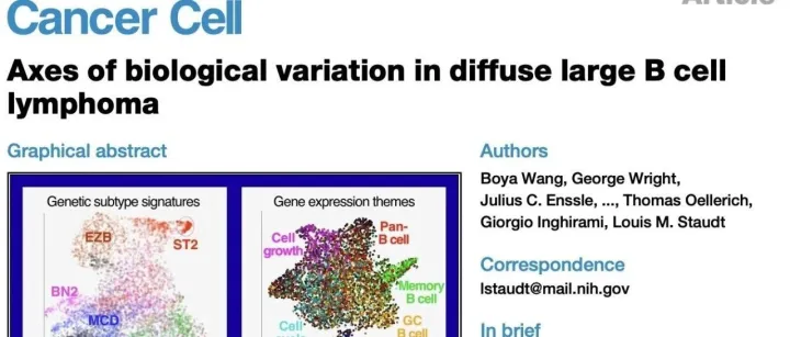 Cancer Cell ｜生信学习，单细胞测序揭秘弥漫大 B 细胞淋巴瘤异质性