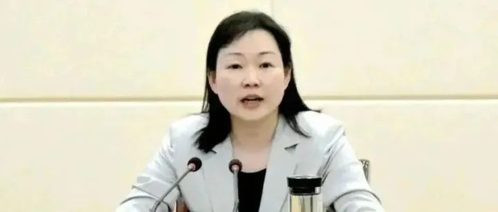 【决策参考】她已任<em>荆门</em>市委副书记