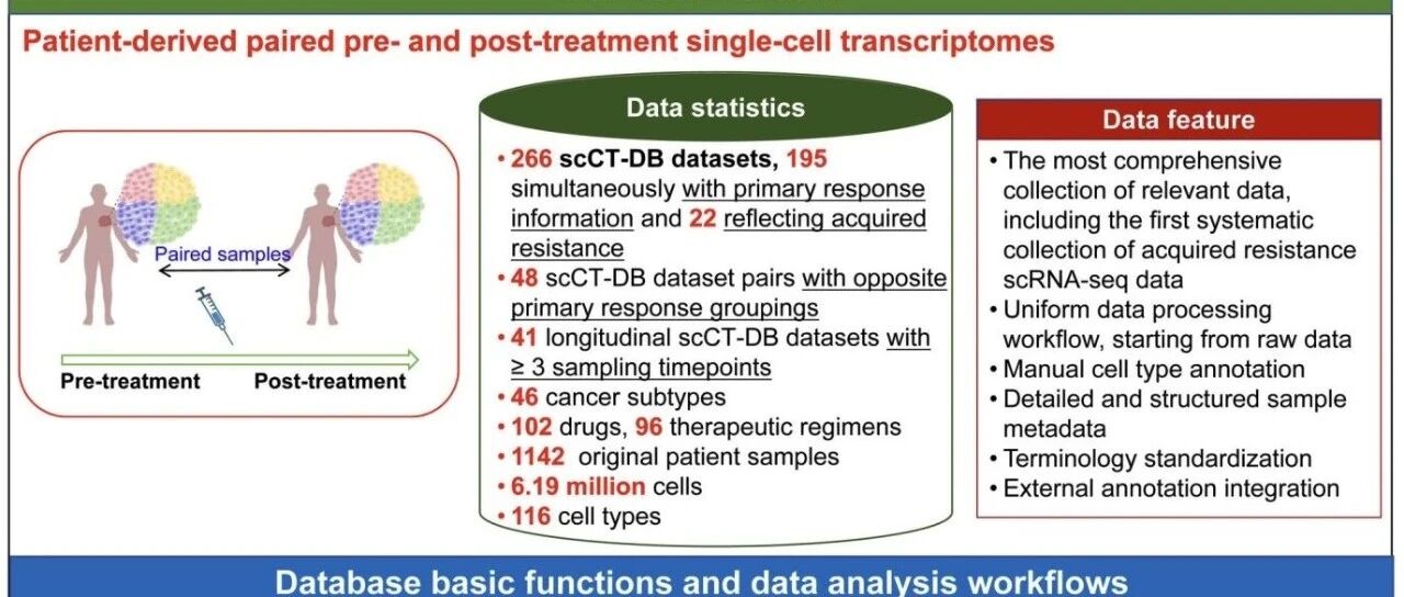 scCT-DB｜做肿瘤一定会用到的数据库，数据和信息随便下，完整，没任何限制- 大数跨境
