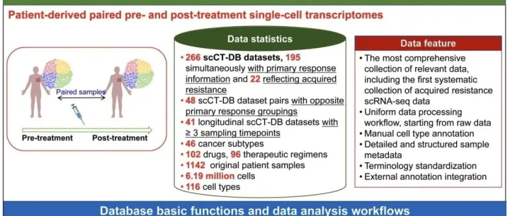 scCT-DB｜做肿瘤一定会用到的数据库，数据和信息随便下，完整，没任何限制