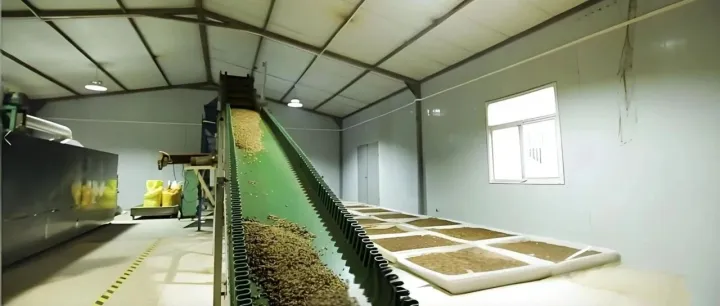 【园链企业选址找房】总投资10亿元，年产1.8万吨黑水虻虫沙有机菌肥项目选址20000平厂房