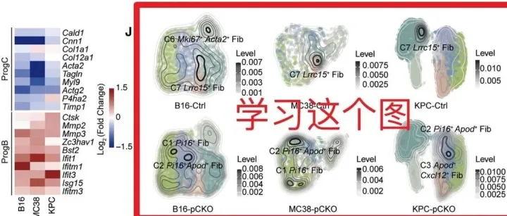 张泽民老师这篇Cancer cell好看的生信绘图代码