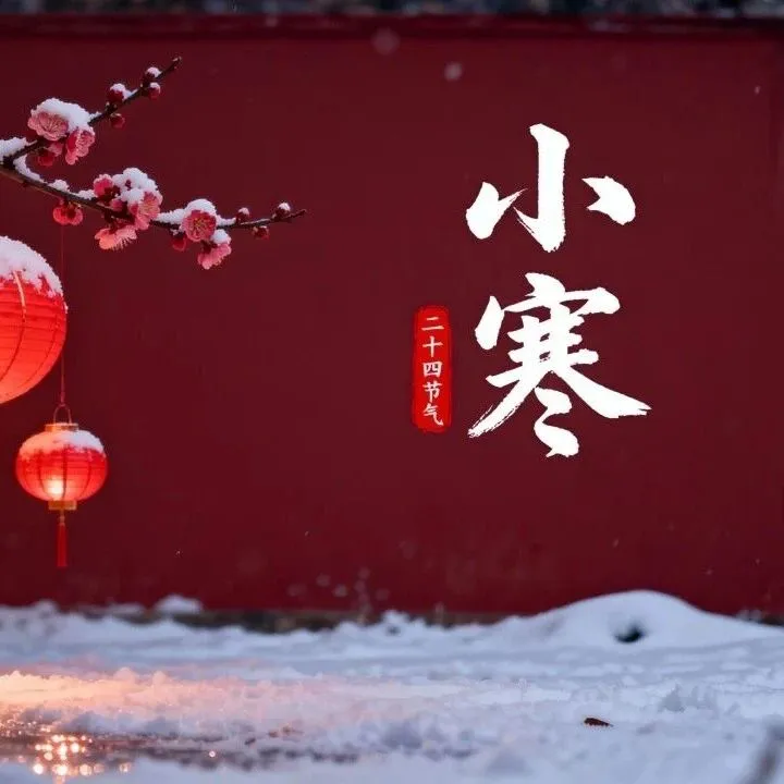 听雪落煮茶声！卓特视觉小寒全素材，装下冬日所有温柔 | 卓特视觉精选