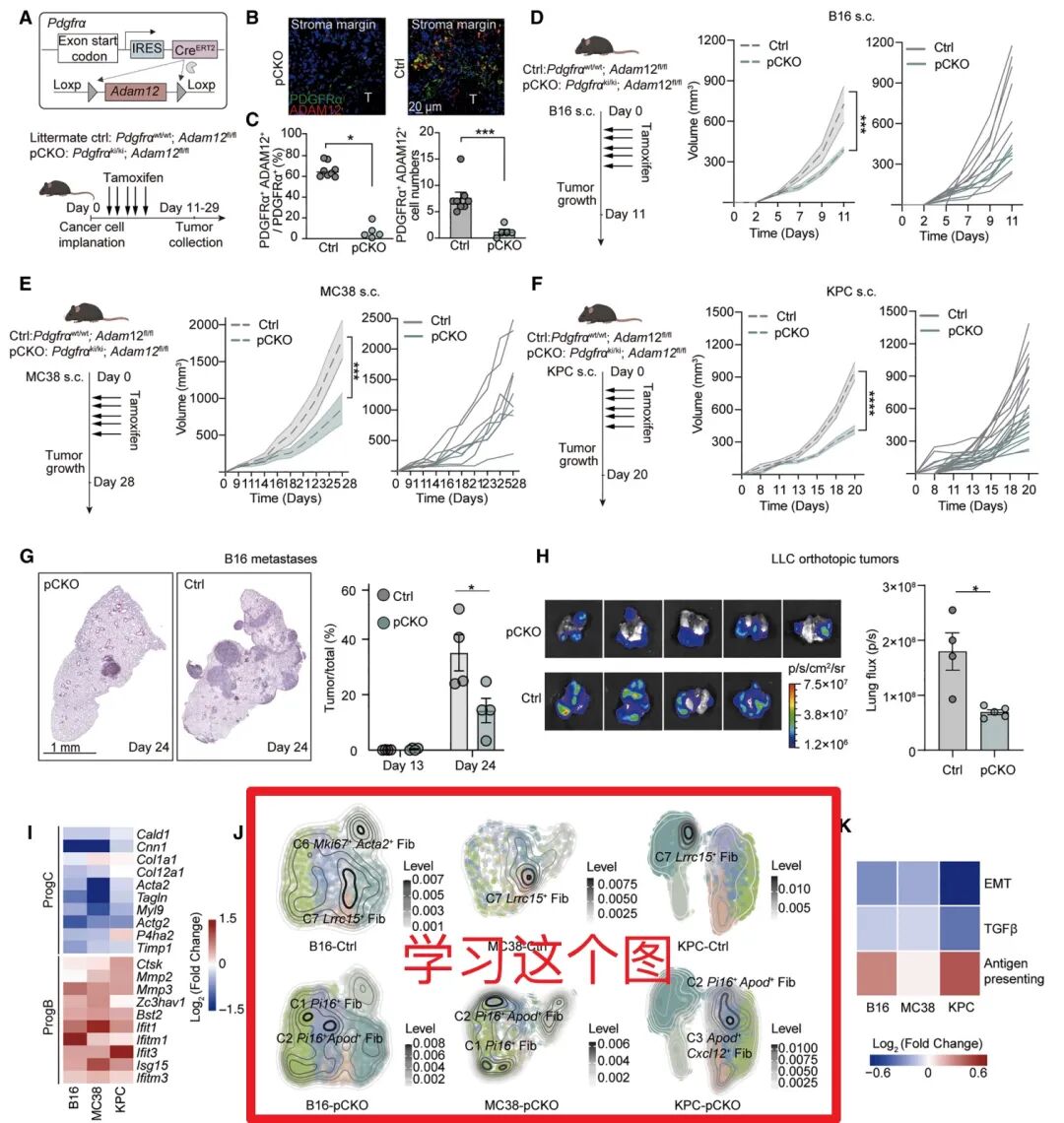张泽民老师这篇Cancer cell好看的生信绘图代码- 大数跨境