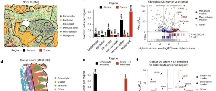 Nat Genetic |scellAdmix新工具解决成像类空间转录组学中细胞分割误差