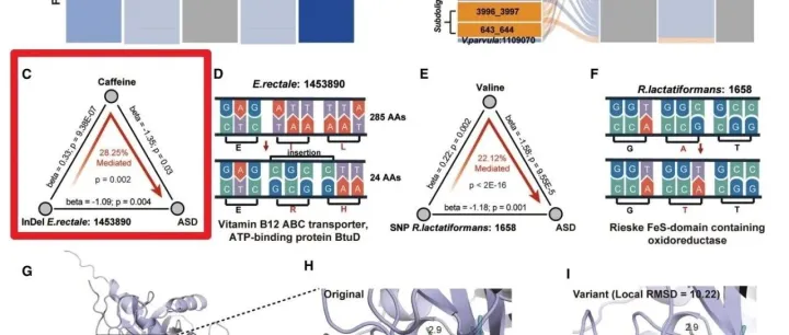 中介分析 |任何组学均适用，原因→中介→结果，明确自变量（预测变量）对因变量（结果变量）的影响，是直接作用，还是中间变量间接传递的