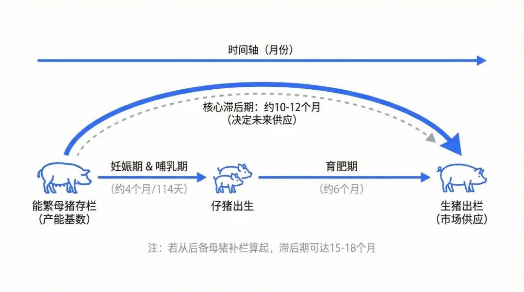 Alpha派×Nano Banana!金融人的「画图/画PPT」神器来了!- 大数跨境