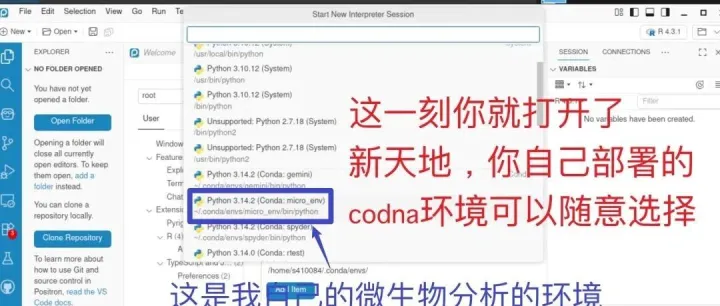 Positron教程 |完胜Rstudio、Jupyter，就没有搞不定的包，R和Python环境随意切换，实现装包自由
