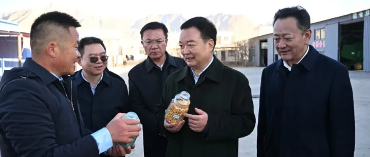 王君正在<em>日喀則</em>市調(diào)研