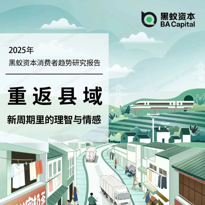 2025消费趋势研究-重返县域，新周期里的理智与情感