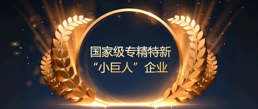 喜报 | 联诚发通过国家级专精特新“小巨人”企业复审- 大数跨境