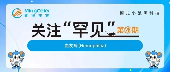 关注罕见 | 第二十八期：血友病（Hemophilia）