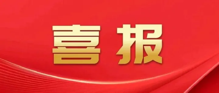 实力担当！参与多个新型电力系统建设能力提升试点项目设计