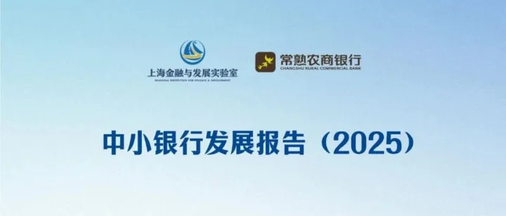 2025中小银行发展报告