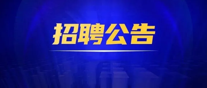 2026年云南金智瑞贵金属冶炼股份有限公司招聘162人 五险一金