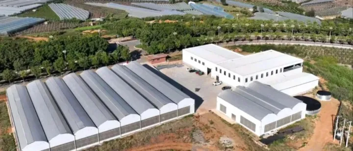 100％悟創(chuàng)投資，未有其他任何參股方——悟創(chuàng)彌勒東風(fēng)育苗基地公開(kāi)聲明