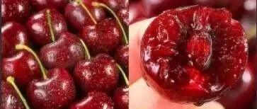 進(jìn)口車?yán)遄赢a(chǎn)區(qū)、產(chǎn)季及品種全解析