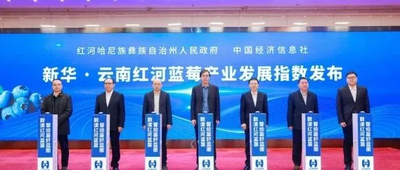 紅河藍(lán)莓指數(shù)在京發(fā)布，“大眼莓”高端品牌和“悟空種苗”閃耀京城