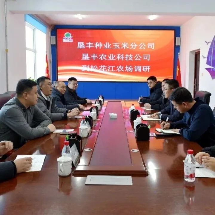 垦丰种业玉米分公司、垦丰科技公司赴松花江农场调研 共绘产业合作新蓝图