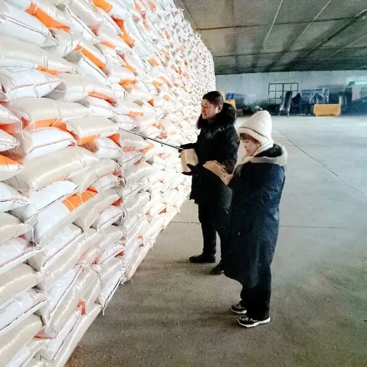 【区域动态】垦丰种业红卫农场分公司积极开展种子复检工作 筑牢良种根基