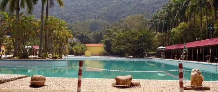 “旅游+中医药”圈粉海外游客多地“因地制宜”打造入境游消费新场景