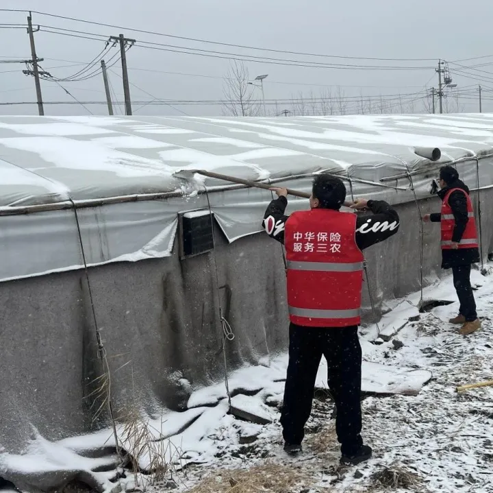 中华财险江苏分公司以风险减量服务筑牢农业生产安全屏障