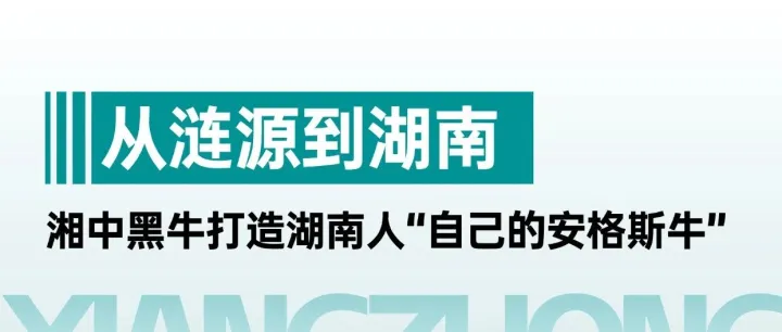 五江农业板块蓄势发力，天华牧业牵头“湘中黑牛”打造湖南人自己的高端牛肉品牌