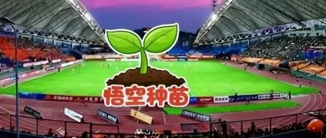 滇超来袭，大眼莓联手悟空种苗，组队出击！