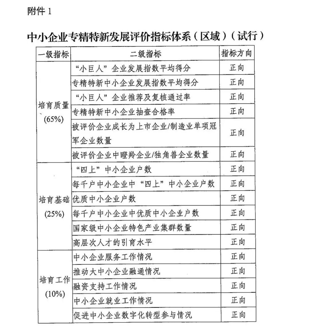 2025 | 工信部发布2.0版中小企业专精特新评价体系-全要素图文详解(现场纪实)- 大数跨境