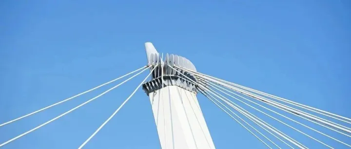 怎么在德克薩斯州成立公司？