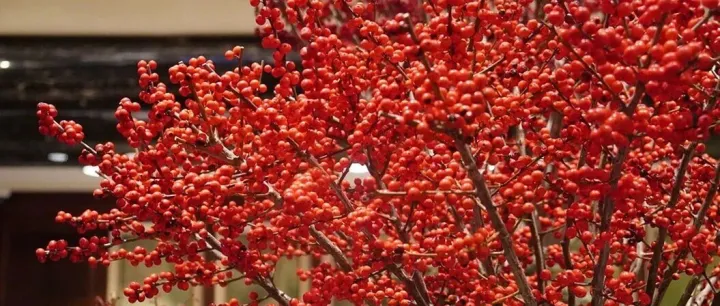 元旦快樂/跨年<em>安康</em>